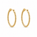 Aria Hoop Earing